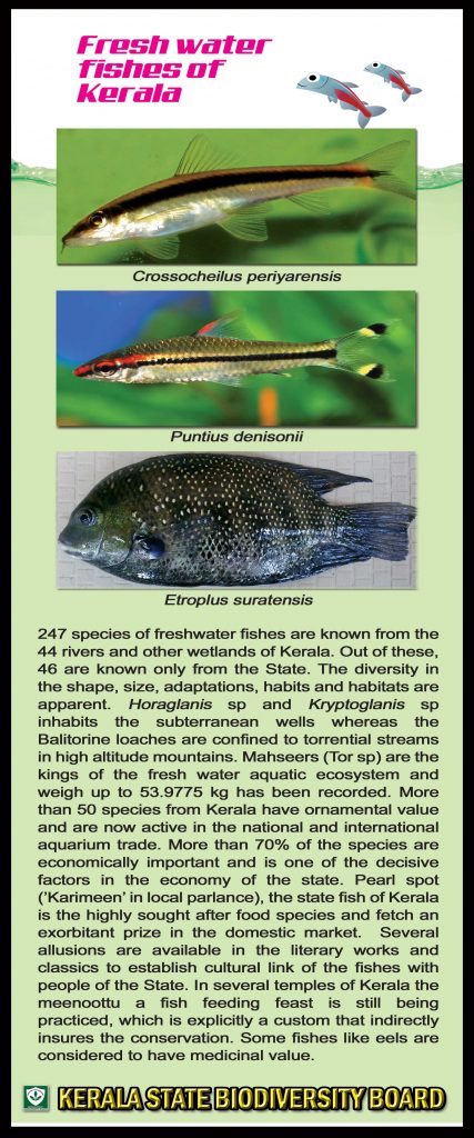 panels-kerala-state-biodiversity-board