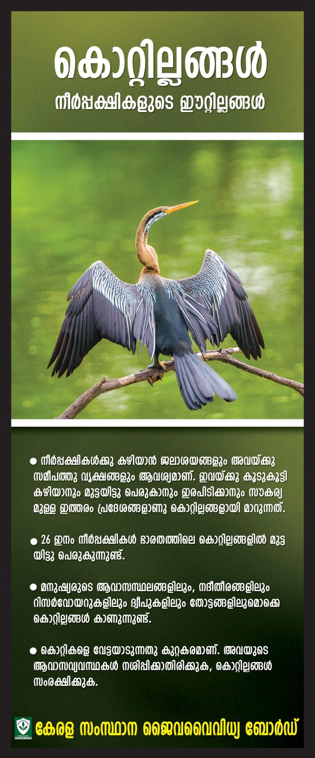 biodiversity in kerala essay